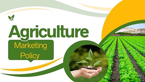 Agriculture Marketing Policy