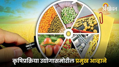 Agriculture Processing Industry