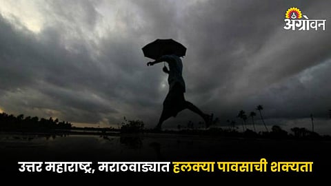 Rain Forecast
