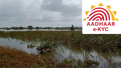 Flood Affected Farmers