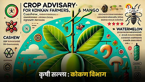 Crop Advisory