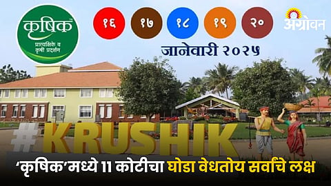 Krushik 2025