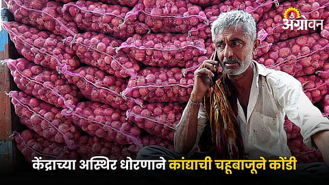 Onion Farmer