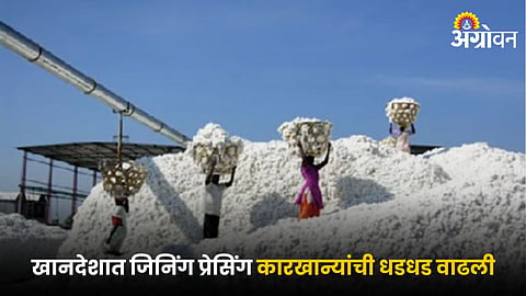 Cotton Industry