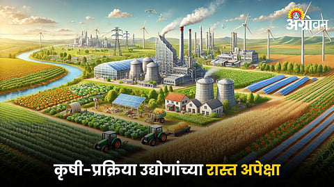 Agriculture Processing Industry