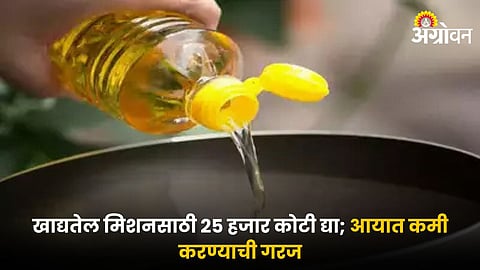 Edible Oil