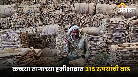 Raw Jute