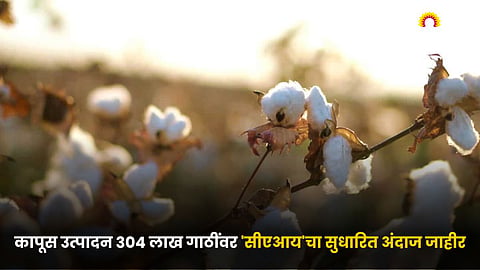 Cotton