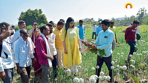 Crop Inspection