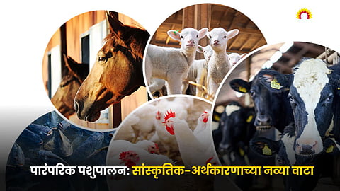 Livestock Farming