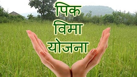 Crop Insurance