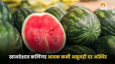 Watermelon