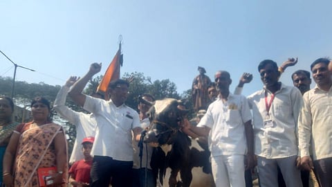 Milk Subsidy