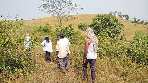 Watershed Work
