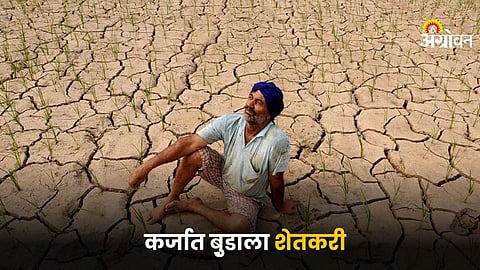 Farmer Crisis