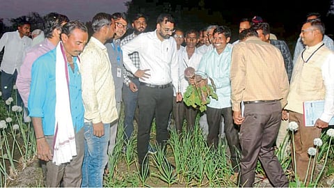 Natural Farming