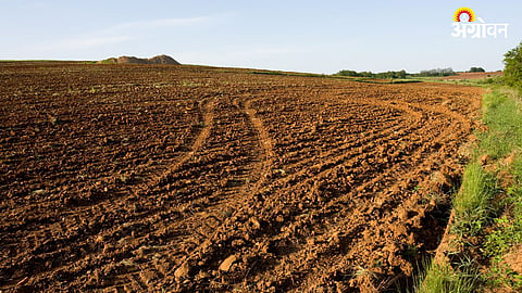 Agriculture Land