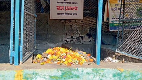Organic Fertilizer