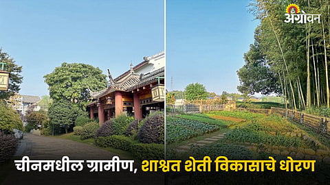 Rural Development