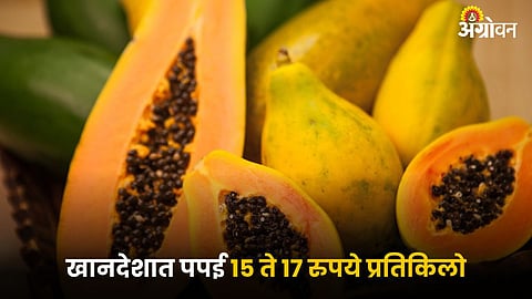 Papaya