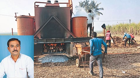 Turmeric Farming