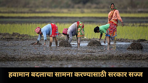 Climate Change NICRA Project