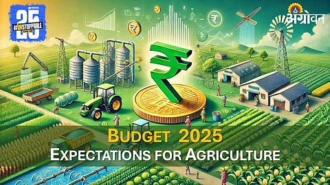 Union Budget 2025