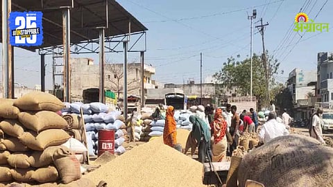 Soybean Procurement