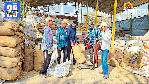 Paddy Market