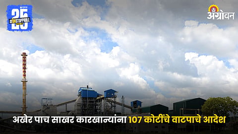 Sugar Industry