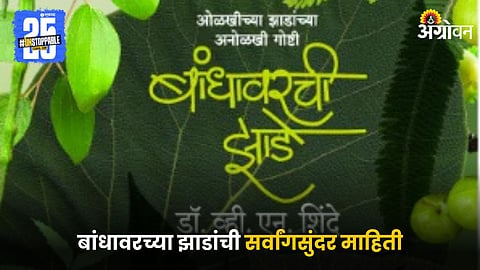 Bandhavarchi Zad