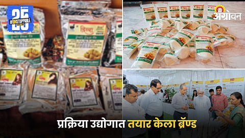 Food Processing Industry