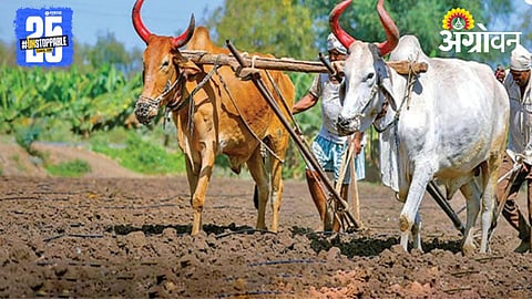 Sowing