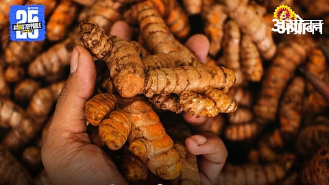 Turmeric