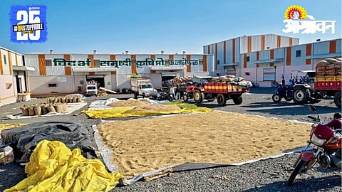 Soybean Market