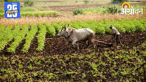 Natural Farming