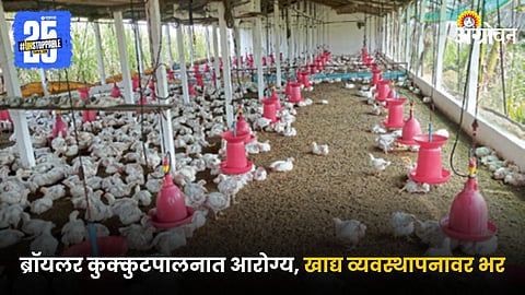 Poultry