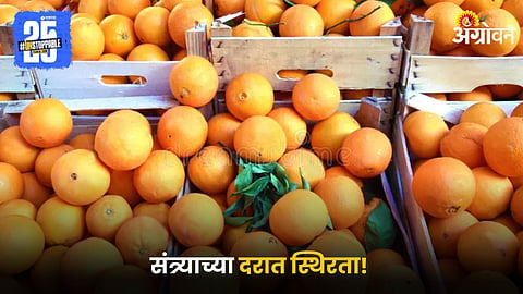 Orange Market