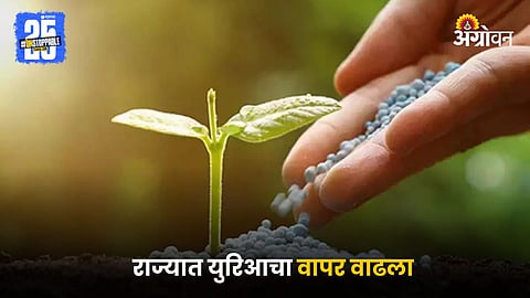 Urea