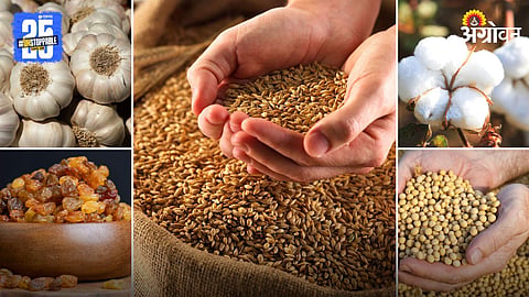 Agriculture Market