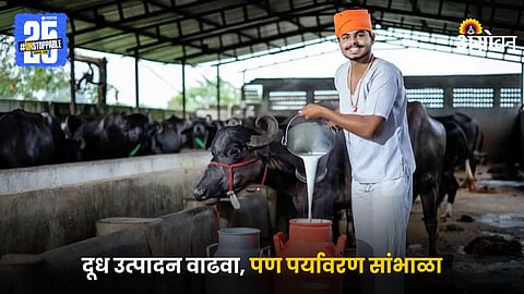 Dairy Farming