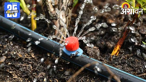 Drip Irrigation