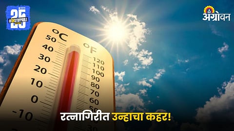Weather