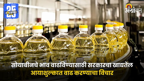 Edible Oil
