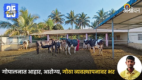 Dairy Farming
