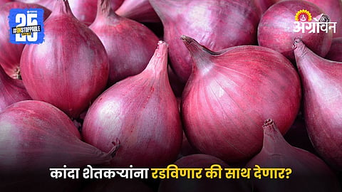Onion Market