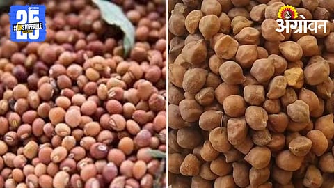 Chana Market