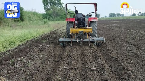 Pulses Sowing