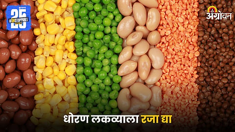 Pulses