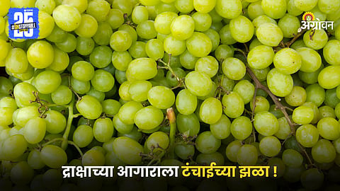 Grape